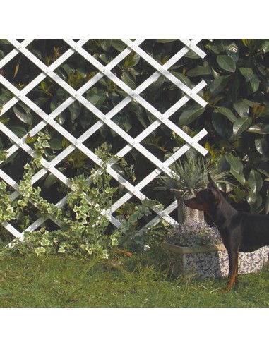 jardín con Celosía Extensible Trelliflex de 1x2m