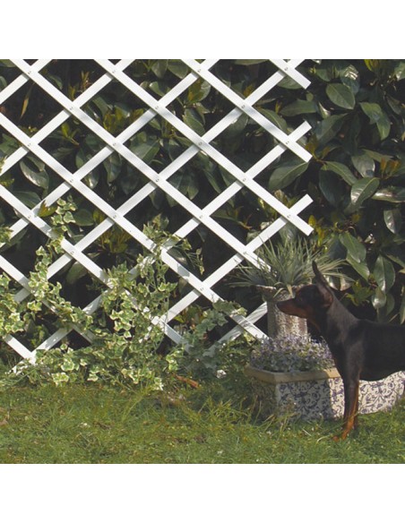 jardín con Celosía Extensible Trelliflex de 1x2m