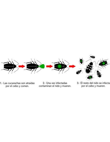 Gel Anti Cucarachas y Larvas...