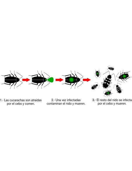 Gel Anti Cucarachas y Larvas Jeringuilla Preben Masso