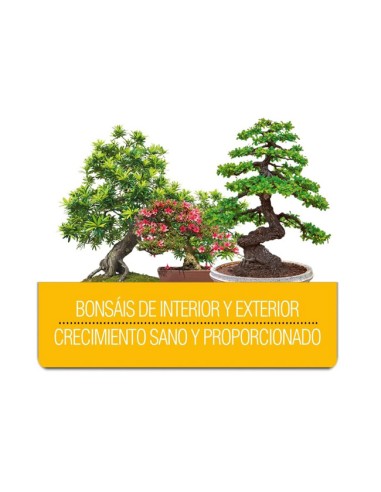 beneficios de usar fertilizante bonsais Flower