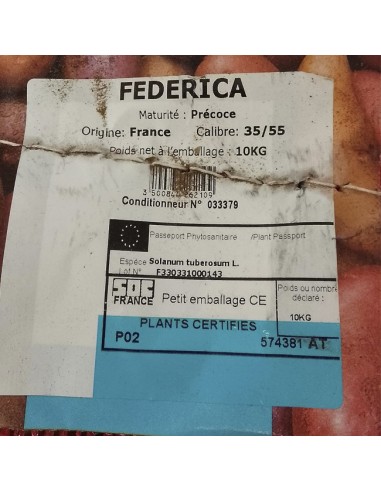 patata de siembra Federica Importación francesa 10kg