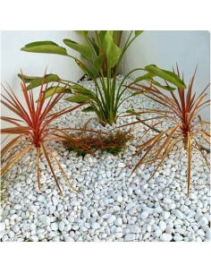 Grava Decorativa Blanco Puro sacos 20kg 2