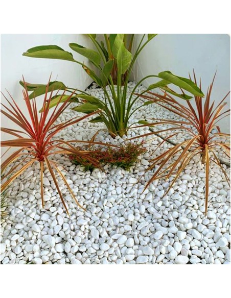 Grava Decorativa Blanco Puro 20kg jardín