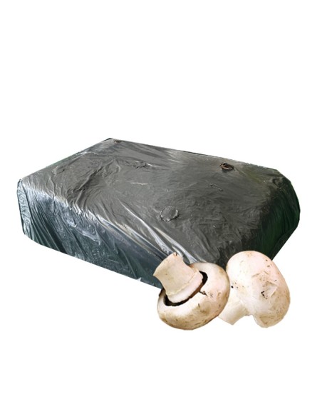 Paca Champiñón Paris