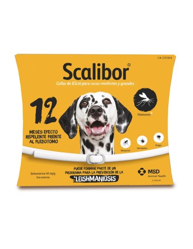 Collar Perros Scalibor 65cm 12 meses Repelente Pulgas Garrapatas Leishmaniosis