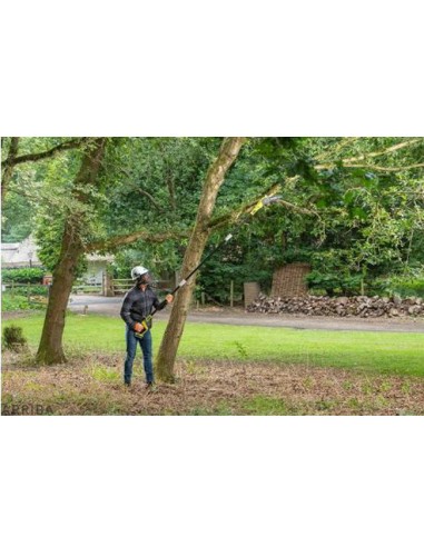 RYOBI Motosierra Podadora 18V Pértiga 20cm OPP1820