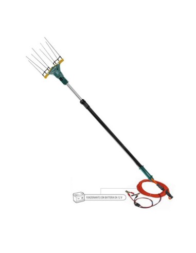 Zanon Vareadora Eléctrica Falcon AL200 Telescópica con batería 12v y cargador