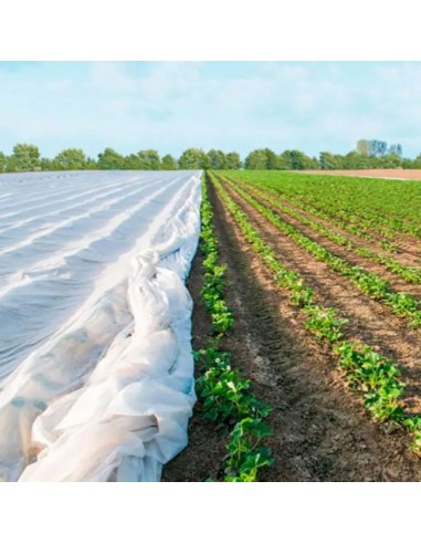 Manta Térmica para Cultivos Metro...