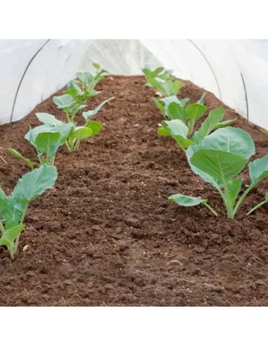 Manta Térmica para Cultivos Metro...