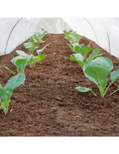 Manta Térmica para Cultivos Metro Lineal o Rollo 50m