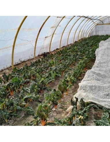 Manta Térmica para Cultivos Metro...