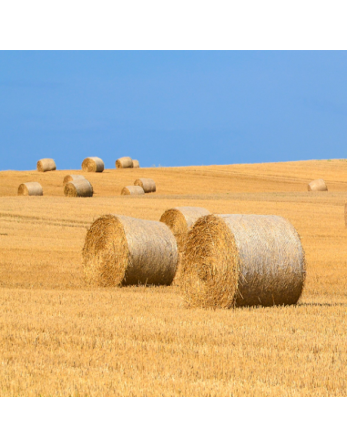 Pacas de heno con cuerda empacar Tecfil 750 azul 10kg.