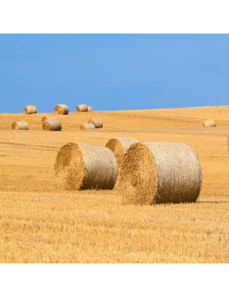 Pacas de heno con cuerda empacar Tecfil 750 azul 10kg.