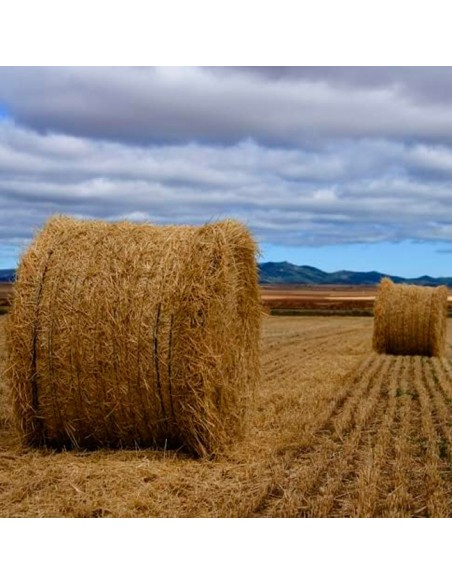 paca forraje con Cuerda Empacar 300 Polipropileno 2 Bobinas