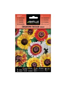 BATLLE Semillas Crisantemo Tricolor Variado Sobre 4gr.