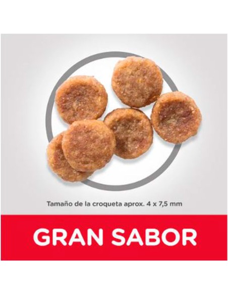 croquetas pequeñas Hill's Science Plan Small & Mini Pienso para Perros Adultos con Pollo