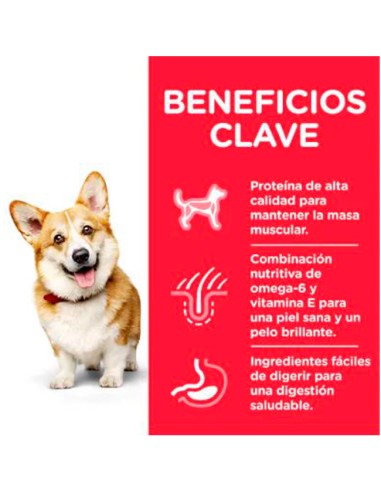 Hill's Science Plan Small & Mini beneficios clave pienso para Perros Adultos con Pollo