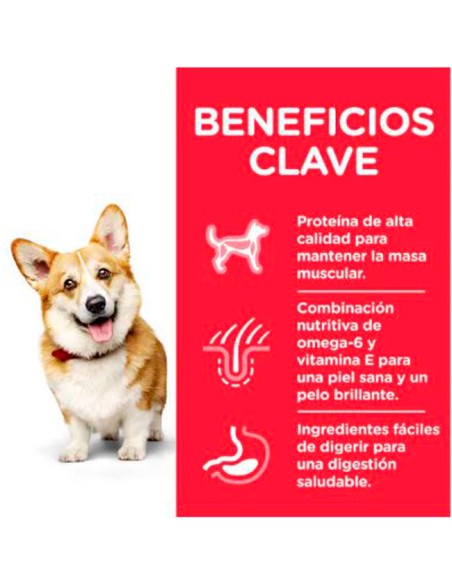 Hill's Science Plan Small & Mini beneficios clave pienso para Perros Adultos con Pollo