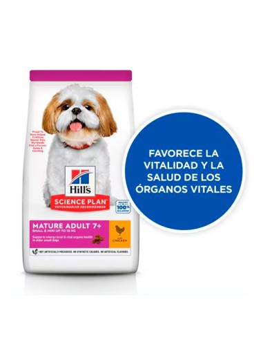 Hill's Science Plan Pienso para Perros Mayores Raza Mini beneficios salud para seniors