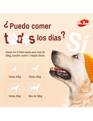 Helados para Perros Snack Refrescante para Perros Adultos 50gr. apto para consumo diario