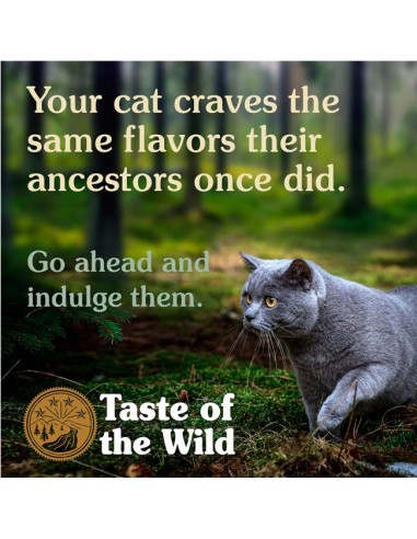 Taste Of The Wild Feline Canyon River Trucha y Salmón