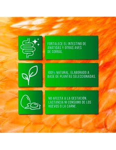 Soluverm 250ml tratamiento parásitos internos en aves y conejos 2