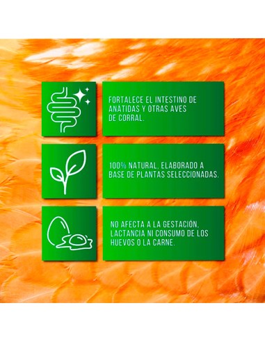 Soluverm salud intestinal tratamiento natural frente al Vermes en aves y conejos