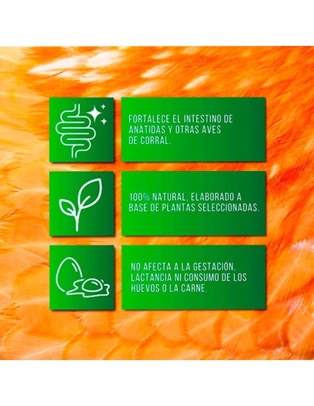 Soluverm salud intestinal tratamiento natural frente al Vermes en aves y conejos