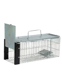 Jaula Trampa para Ratas