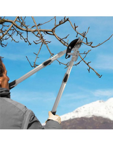 Tijera de Poda Telescópica con Yunque Aluminio ø 35 mm