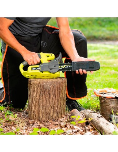 Motosierra Compacta 18V 20cm Poda y...