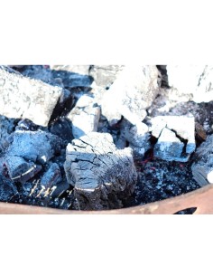 Saco de Carbón vegetal de Encina 10kg para parrillas y asados profesionales 2