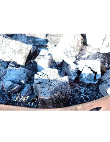 Detalle del calibre 4–10 cm del carbón de encina