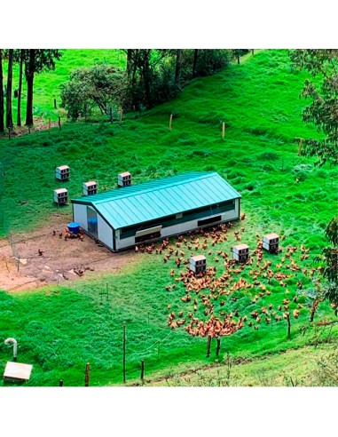 exterior con corral móvil Continental para pollos y gallinas