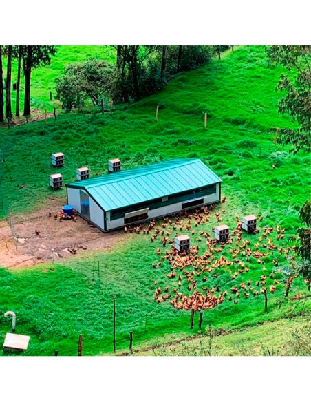 exterior con corral móvil Continental para pollos y gallinas