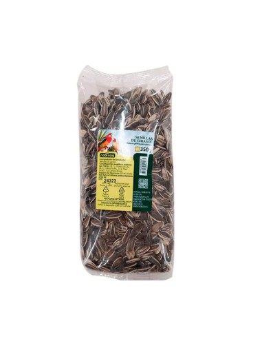 Pipas de Girasol para Loros Cotorras...