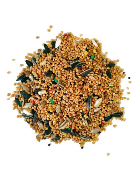 alimento completo para cotorras y agapornis