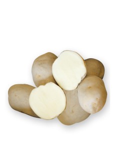 Patata de siembra Federica 35/55 Saco 10kg