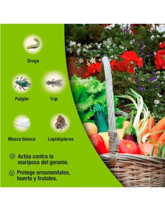 Insecticida Choque Decis EW 100ml 2