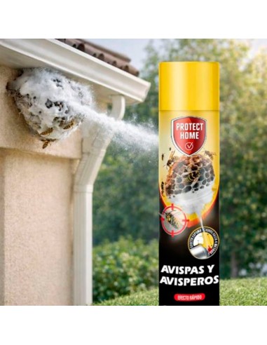 Insecticida Avispas y Avisperos en...
