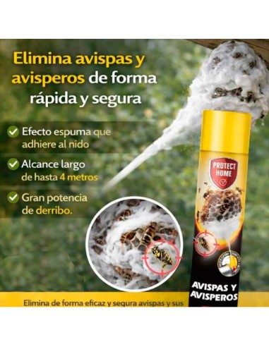 Insecticida Avispas y Avisperos en...