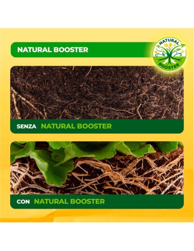 Fertilizante Ecológico de Tomates para huertos estimulante radicular