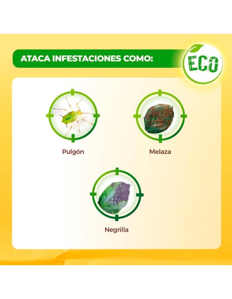 jabón negro en spray listo para eliminar plagas en hojas de pulgón, melaza y negrilla