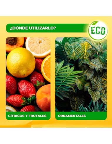 jabón negro para limpiar hojas Solabiol